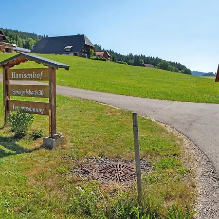 Hanisenhof Lägenhet Titisee-Neustadt