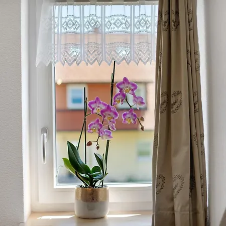 Hanisenhof アパート ティティゼー・ノイシュタット