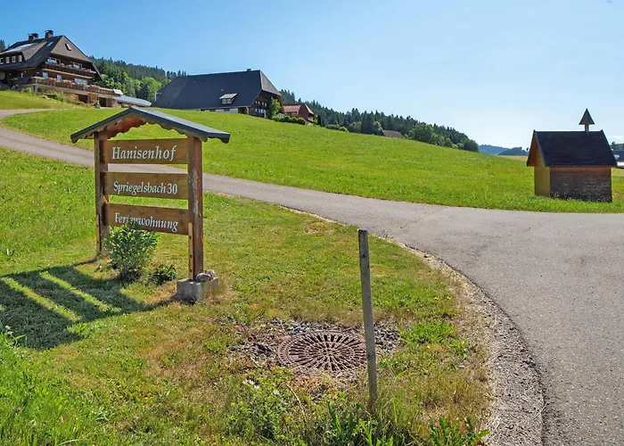 Hanisenhof Apartamento Titisee-Neustadt